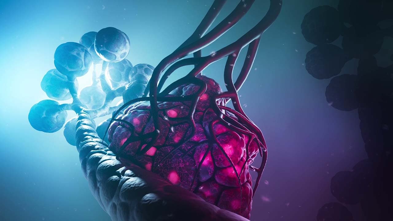 Tumor Vascularization