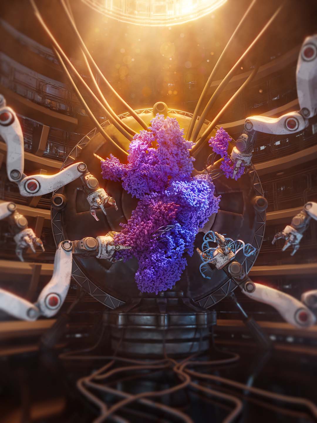 Assembly of the Mitoribosome