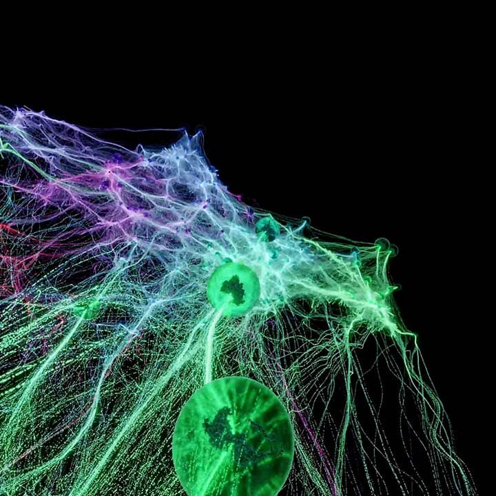 A protein-level view of the human protein-protein interaction network