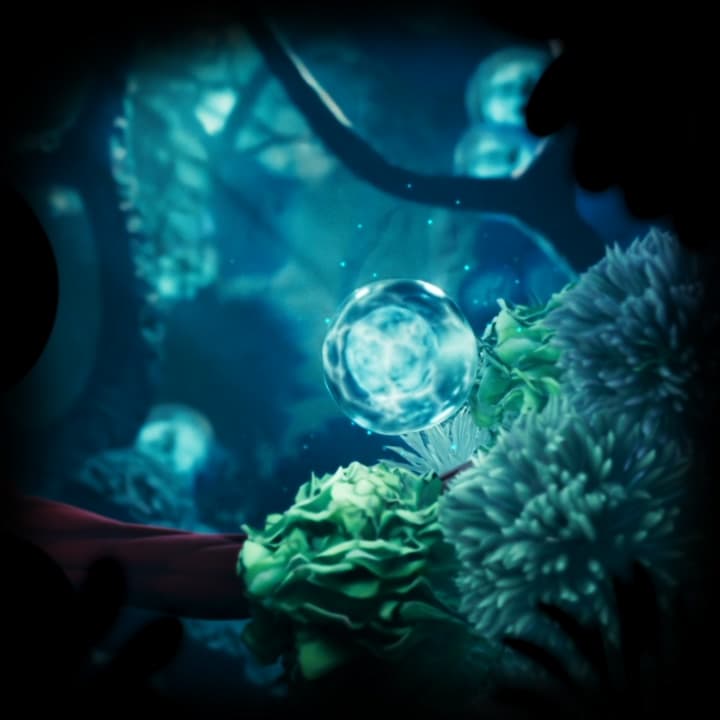 Stem cell self-renewal