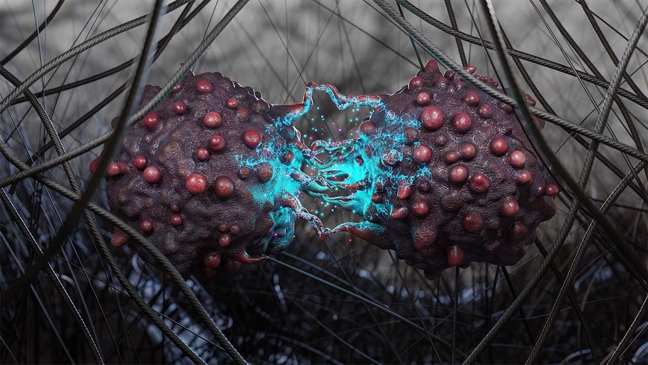 Communicating Cancer Cell