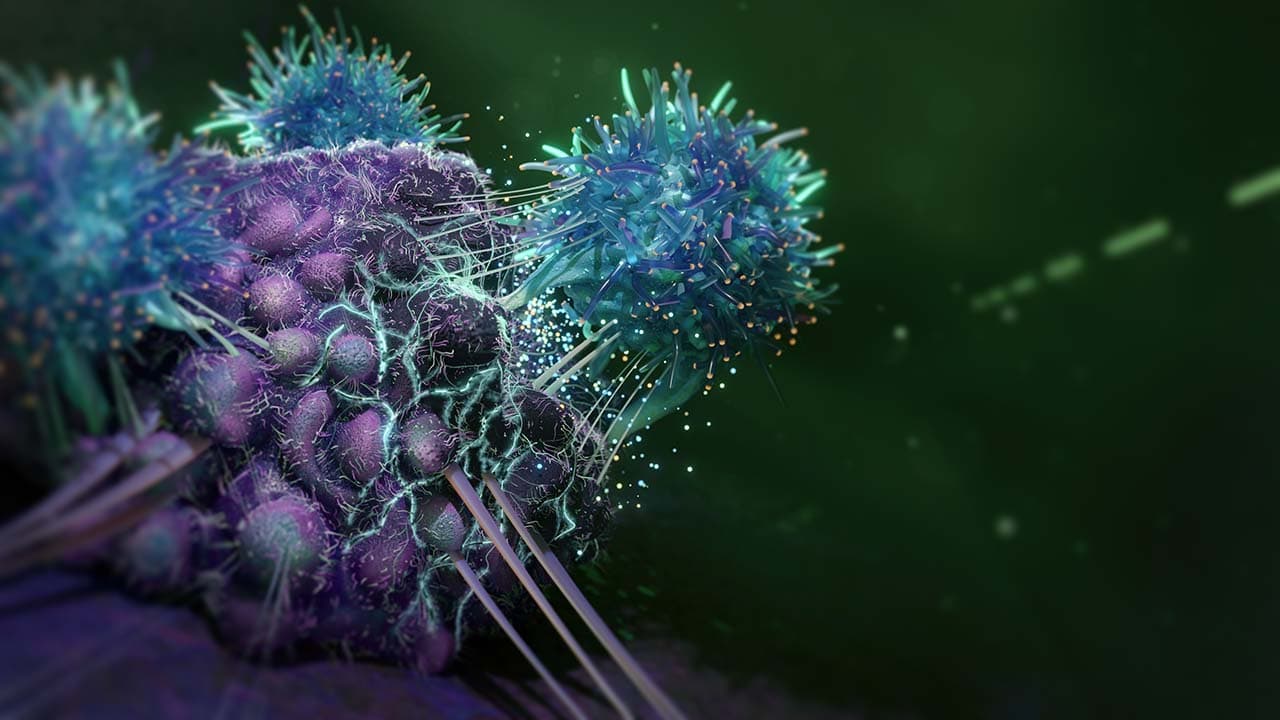 T cells attacking cancer