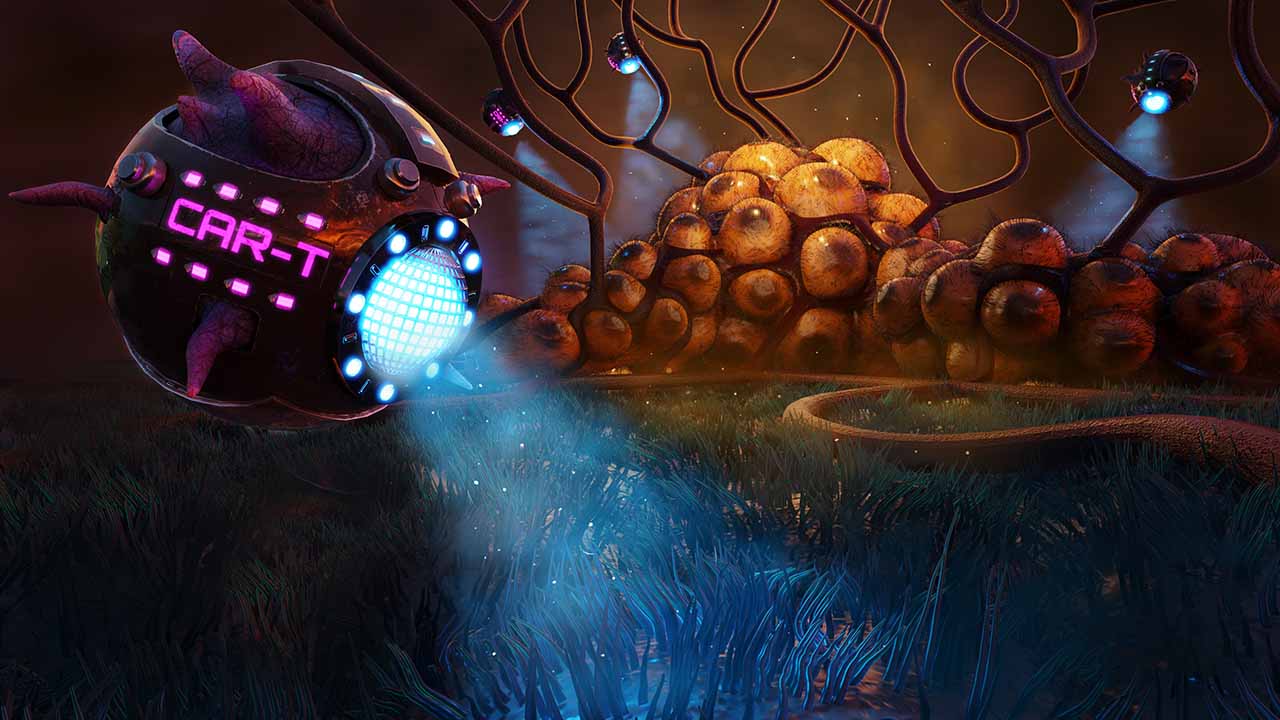 CART Tumor Immune Surveillance